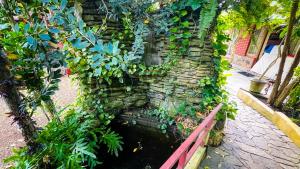 a stone wall with plants growing on it at Yala Savanna Leopard Lodge in Hambantota