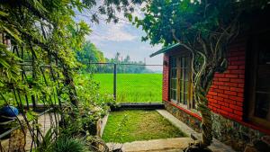 a view of a garden from a house with a window at Yala Savanna Leopard Lodge in Hambantota