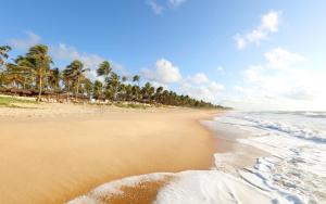 a sandy beach with palm trees and the ocean at Grand Palladium Imbassaí Resort & Spa - All Inclusive in Imbassai