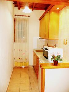 Kuchyňa alebo kuchynka v ubytovaní Vassilis Apartments