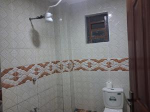 a bathroom with a shower with a toilet and a window at Texas Apartments 1 Bedroom bnb Thika in Thika