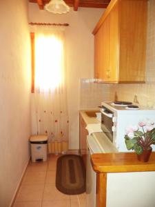 Kuchyňa alebo kuchynka v ubytovaní Vassilis Apartments
