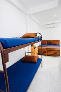 a room with two bunk beds in a room at The Beach House , Nilaveli , Trincomalee in Trincomalee