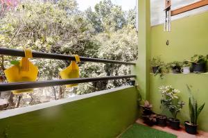 a balcony with green walls and plants at Forest View Penthouse Stay - PRIME HSR - Near NIFT in Bangalore