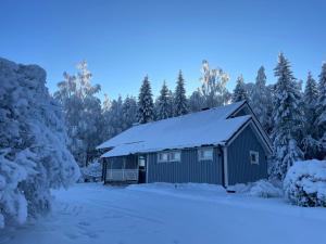 ein schneebedecktes Haus in einem Wald in der Unterkunft Pakola in Viitasaari