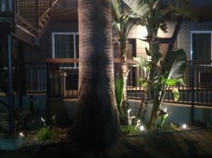 a palm tree in front of a house with lights at Granada Inn in Granada Hills
