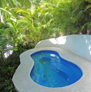 a pool of water surrounded by trees and shrubs at Mar y Sueños in Sayulita