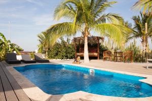 a swimming pool in a yard with palm trees at Kas Rolo in Kralendijk