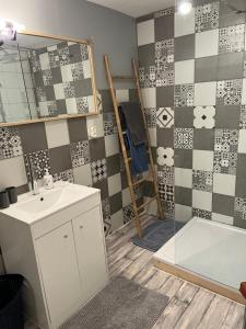 a bathroom with a sink and a shower at Gîte des reculées in Ladoye-sur-Seille +30 photos