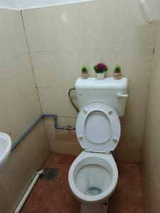 a bathroom with a toilet with two plants on the tank at HOMESTAY TASNIM in Bentong +3 photos