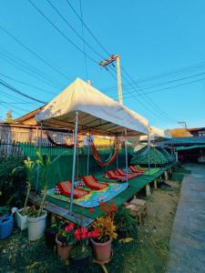 a table with an umbrella and some plants and flowers at Baan pai Hostel in Pai