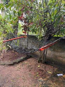 a basket with a potted plant in it at R BackPacker Hostel in Ahangama +2 photos