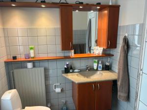 a bathroom with a sink and a mirror at Herning Nord - Tjørring Beds in Herning +17 photos