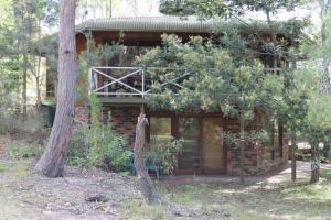 a log cabin in the woods with a tree at Sea Nest in Batemans Bay