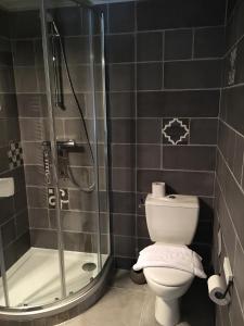 uma casa de banho com um WC e um chuveiro em Hôtel Restaurant Logis Coté Lac em Savenay