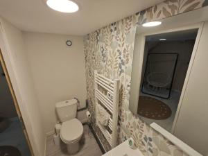 a small bathroom with a toilet and a mirror at Chambre à louer in Bonnétable +5 photos