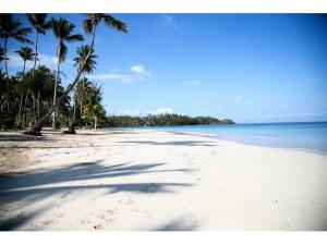 a sandy beach with palm trees and the ocean at Résidence Villas Les Hibiscus in Las Terrenas