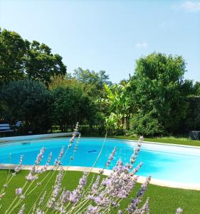 a swimming pool with purple flowers in the foreground at Chambres d'hôtes Villa Lortin in Pouillon