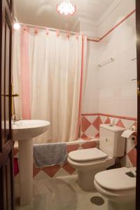 a bathroom with a toilet and a sink and a shower at Apartamento San Benito "B" in Seville +6 photos