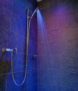 y baño con ducha y pared azul. en Hôtel de l'Etoile, en Perrefitte