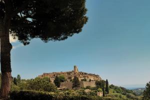 a castle on top of a hill with a tree at Provencal Escape - Suite in Saint Paul de Vence