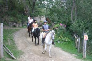 un grupo de gente montando caballos por un camino de tierra en Els Torrents, en Bellver de Cerdanya 