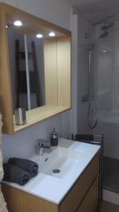 アヴィニョンにあるミニ ロフトのバスルーム(白いシンク、シャワー付)