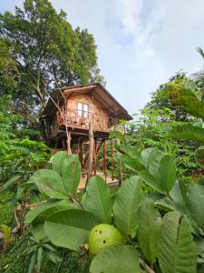 a tree house in the middle of a forest at Farming Tree House in Sigiriya