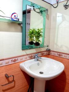 a bathroom with a sink and a mirror and plants at Ragith Villa in Nuwara Eliya +85 photos