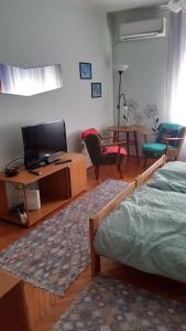 a bedroom with a bed and a tv and a table at Georgina in Rospi Ćuprija