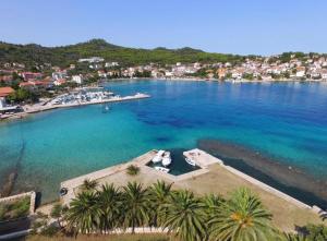 an aerial view of a beach with palm trees at Strandhaus Roko in Preko