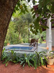 a swimming pool in a yard with a tree at Voyager's Villa in Habarana