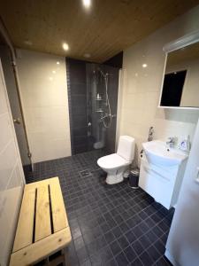 a bathroom with a toilet and a sink at Lumilyhty B in Äkäslompolo +8 photos
