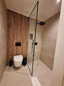 a bathroom with a toilet and a glass shower stall at Aeolis Hotel in Samos