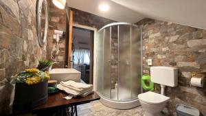 a bathroom with a shower and a toilet and a sink at Apartment Sabljaci by the Lake in Ogulin +45 photos