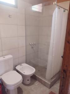 a bathroom with a toilet and a shower at Casa Munay para dos personas in Uspallata