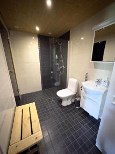 a bathroom with a toilet and a sink and a shower at Lumilyhty A in Äkäslompolo +12 photos