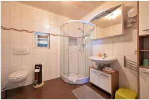a bathroom with a shower and a toilet and a sink at Gerstels Ferienhof in Hörselberg-Hainich +6 photos