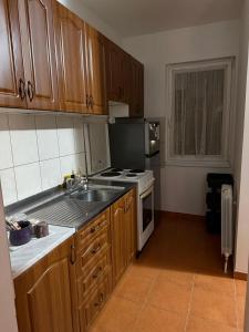 a kitchen with a sink and a stove top oven at Barbello in Stara Pazova