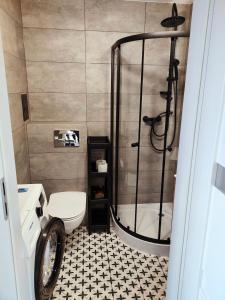 a bathroom with a shower and a toilet at Apartament Prudniczanka in Prudnik