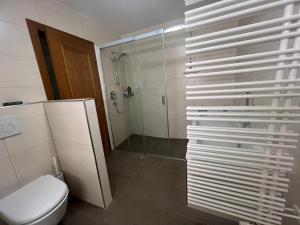 a bathroom with a toilet and a shower at Ferienhaus Lengau in Saalbach-Hinterglemm +10 photos