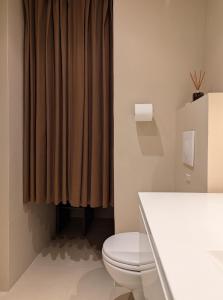 a bathroom with a toilet and a shower curtain at Provencal Escape - Suite in Saint Paul de Vence