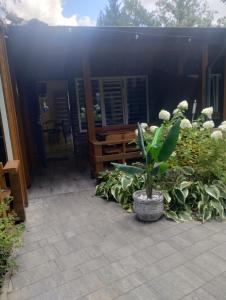a porch of a house with a potted plant at U Irka in Skorzęcin