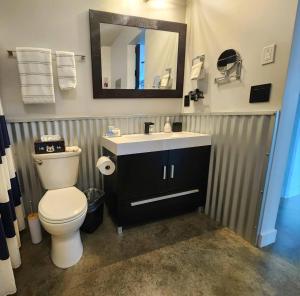 a bathroom with a toilet and a sink and a mirror at Exclusive Modern Suite view in Kamloops