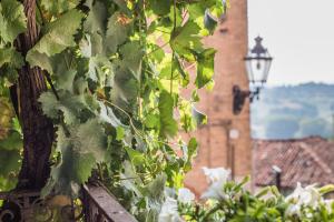 Fotografia z galérie ubytovania B&b Antico Tralcio v destinácii Antignano