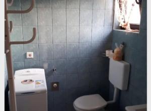 a small bathroom with a toilet and a window at Apartment Dijana in Bakar