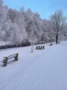 a snow covered park with benches in a field at Domek u Hani - domek 6 osobowy, z ogrodem i tarasem, Wisła in Wisła +5 photos