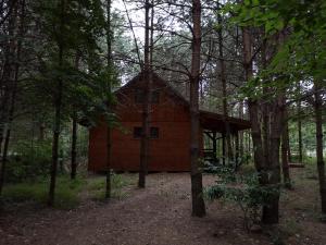 a wooden cabin in the middle of a forest at Domek letniskowy Marksewo Łoś in Marksoby