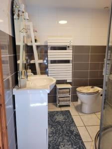 a bathroom with a sink and a toilet at Gîte Le Four à Pain, 2 chambres, 2km du centre de Dole, in Dole +13 photos