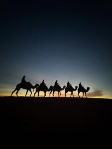 a group of people riding horses in the desert at Aladdin merzouga camp in Merzouga